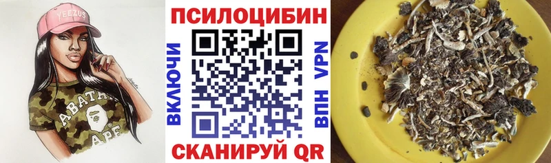 Галлюциногенные грибы Psilocybe Красково