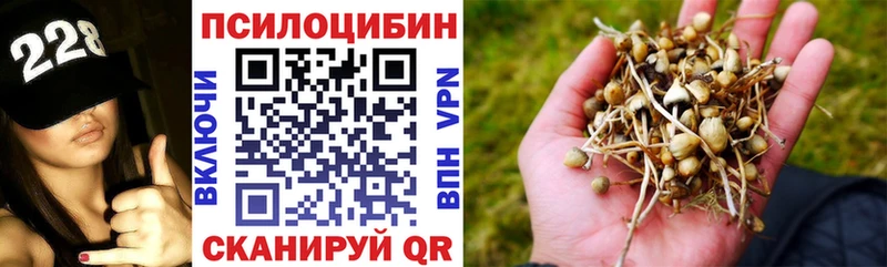 Галлюциногенные грибы Magic Shrooms  Купить где  Красково 